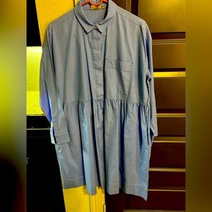 Everlane Oxford Shirt Dress